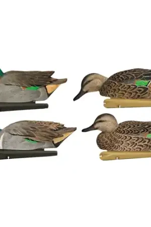 Secure Shopping | AVIAN-X Topflight Teal Species MultiColor