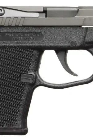 Kel-Tec P-32 Compact .32 ACP Black Pistol | Great Value