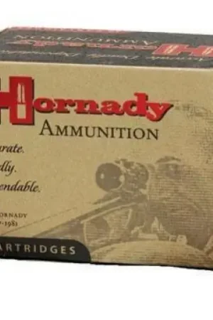 Hornady Custom Handgun .500 S&W Mag - Secure Checkout
