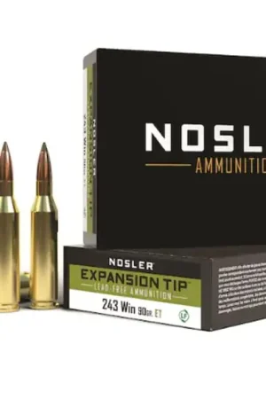 Affordable - Nosler E-Tip .243 Winchester
